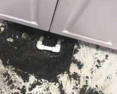 紫金查漏水哪家好